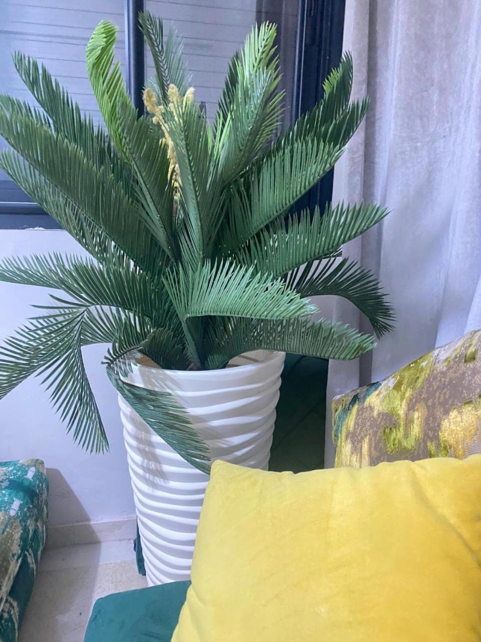 Cosy & Magnifique Appartement Marrakech Marrakesh Ngoại thất bức ảnh